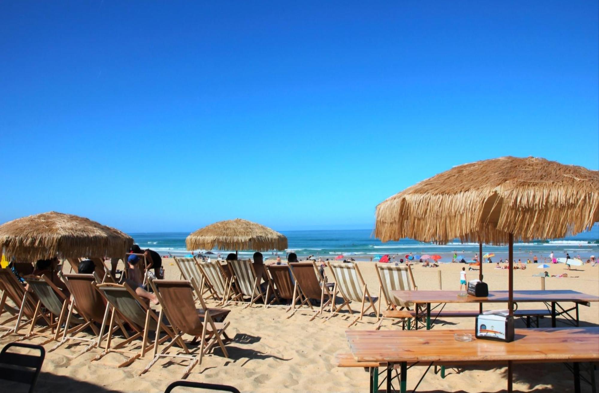 Appartement Avec Terrasse/Bord De Mer/Ideal Surf Seignosse Buitenkant foto